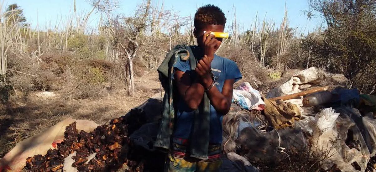 Le mineur arrêté parmi le bande des groupe des braconniers en cavale au milieu des tortues sauvagement rôties.