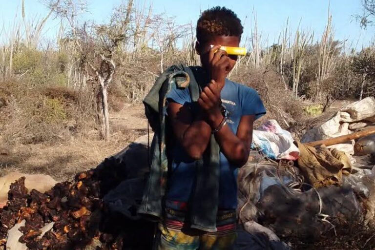 Le mineur arrêté parmi le bande des groupe des braconniers en cavale au milieu des tortues sauvagement rôties.