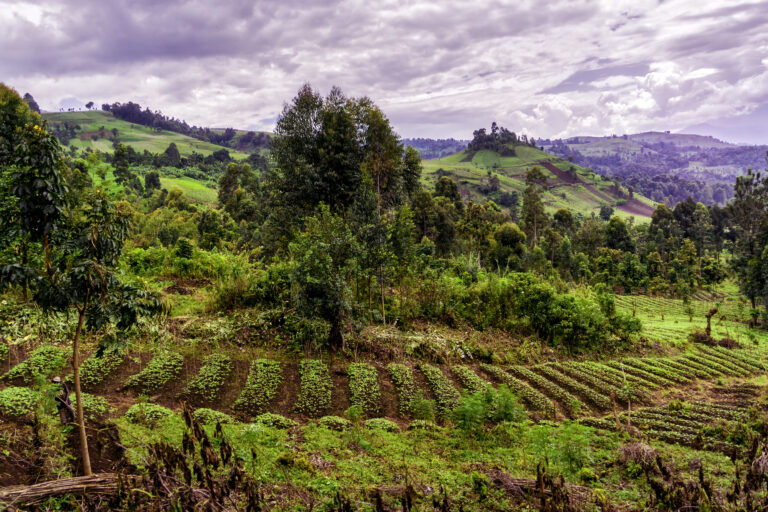 Au-delà des frontières du Parc national des Virunga en RDC. Image de Baron Reznik via Flickr (CC BY-NC-SA 2.0).