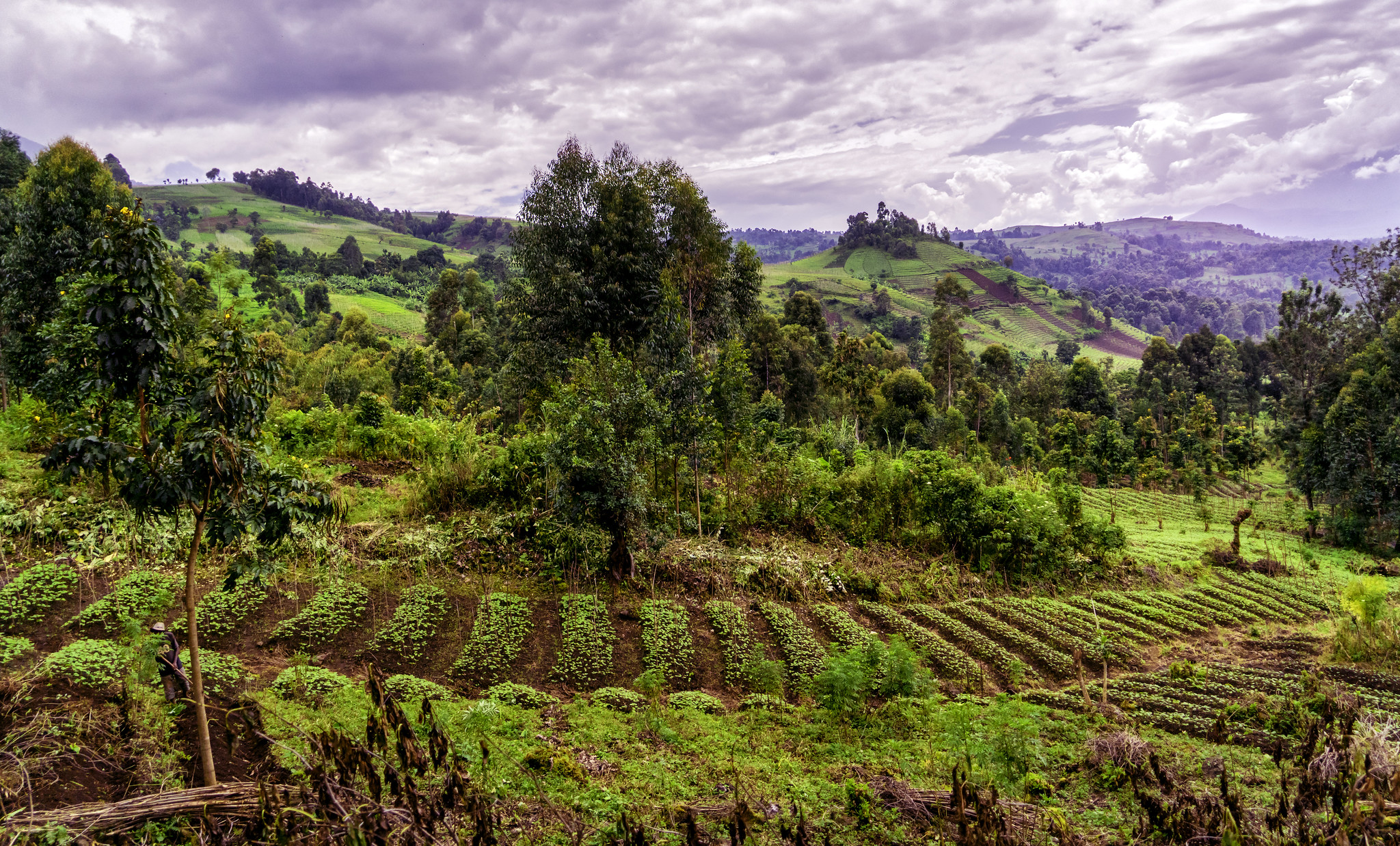 Au-delà des frontières du Parc national des Virunga en RDC. Image de Baron Reznik via Flickr (CC BY-NC-SA 2.0).