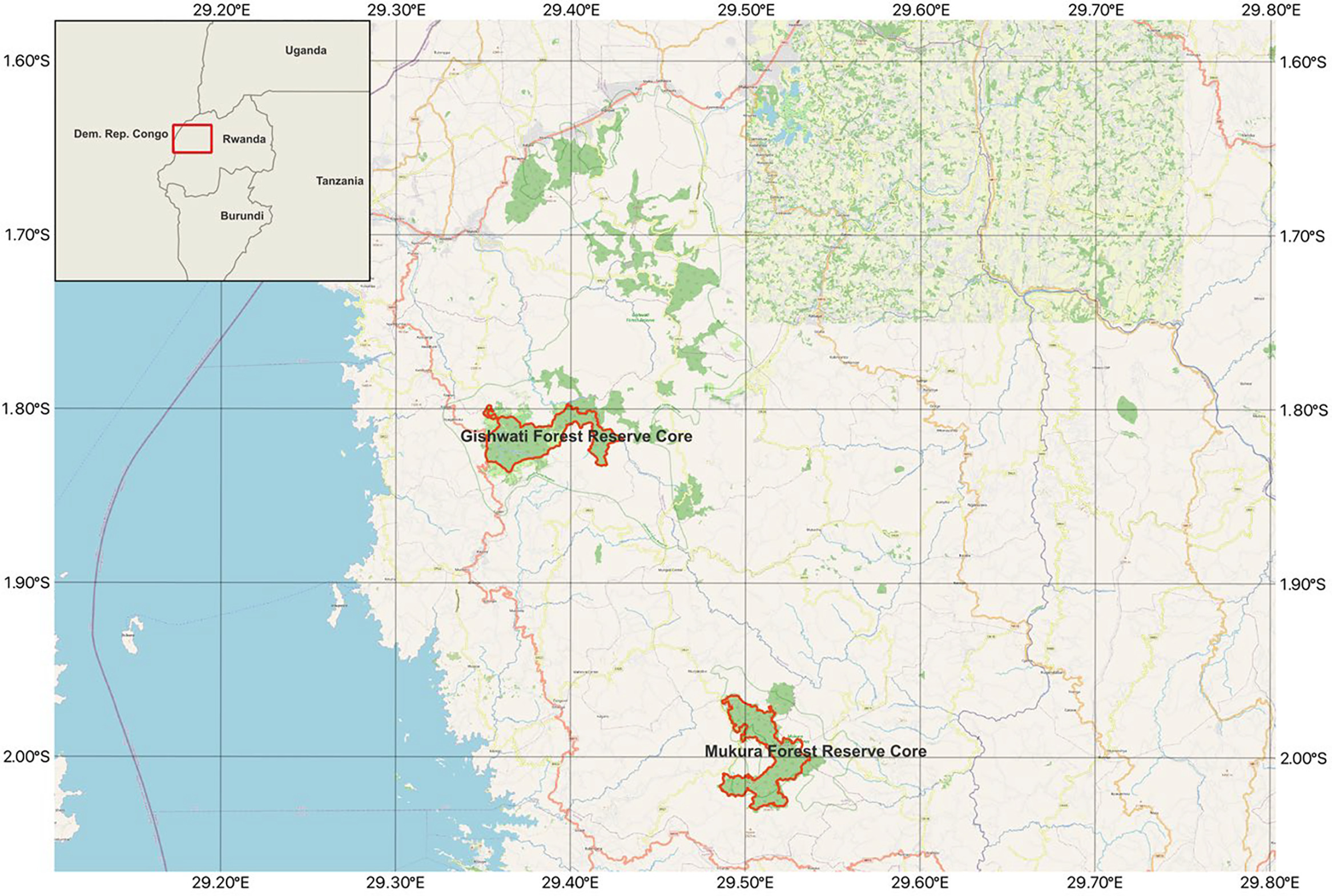 Un corridor écologiquement efficace reliant les deux forêts naturelles (Gishwati et Mukura) serait très précieux du point de vue de la biodiversité, mais ne serait viable que s’il pouvait également générer des opportunités de subsistance pour les communautés locales.