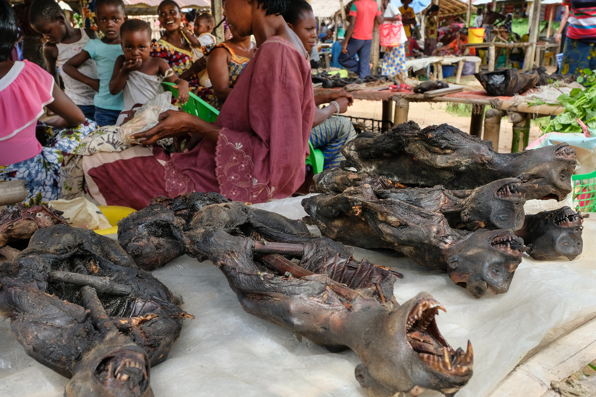 Viande de brousse au marché hebdomadaire de Yangambi, en RDC. Les principaux animaux chassés sont les phacochères, les singes et les rats de Gambie. Image d’Axel Fassio/CIFOR via Flickr (CC BY-NC-ND 2.0).