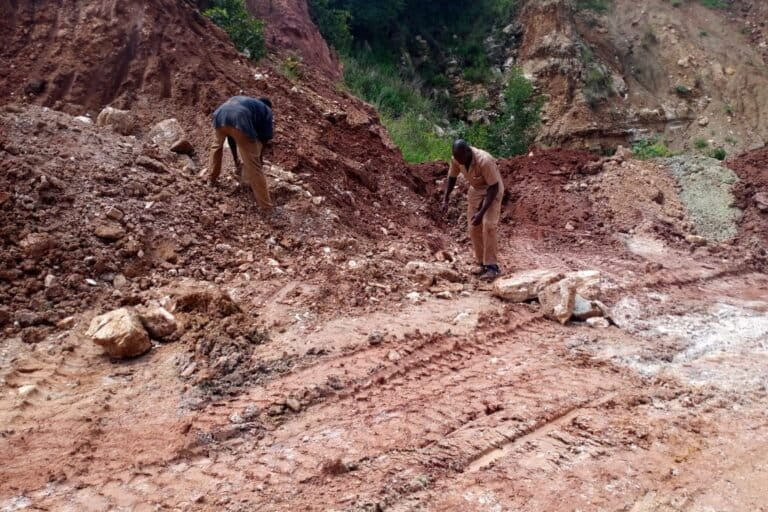 Grâce à l’utilisation de la dolomie, Ibrahim Kontogomdé, producteur de tangelo sur 12 hectares, à corriger les carences du sol acide de son exploitation agricole, pour une meilleure production. Image de Hadepté Da pour Mongabay.