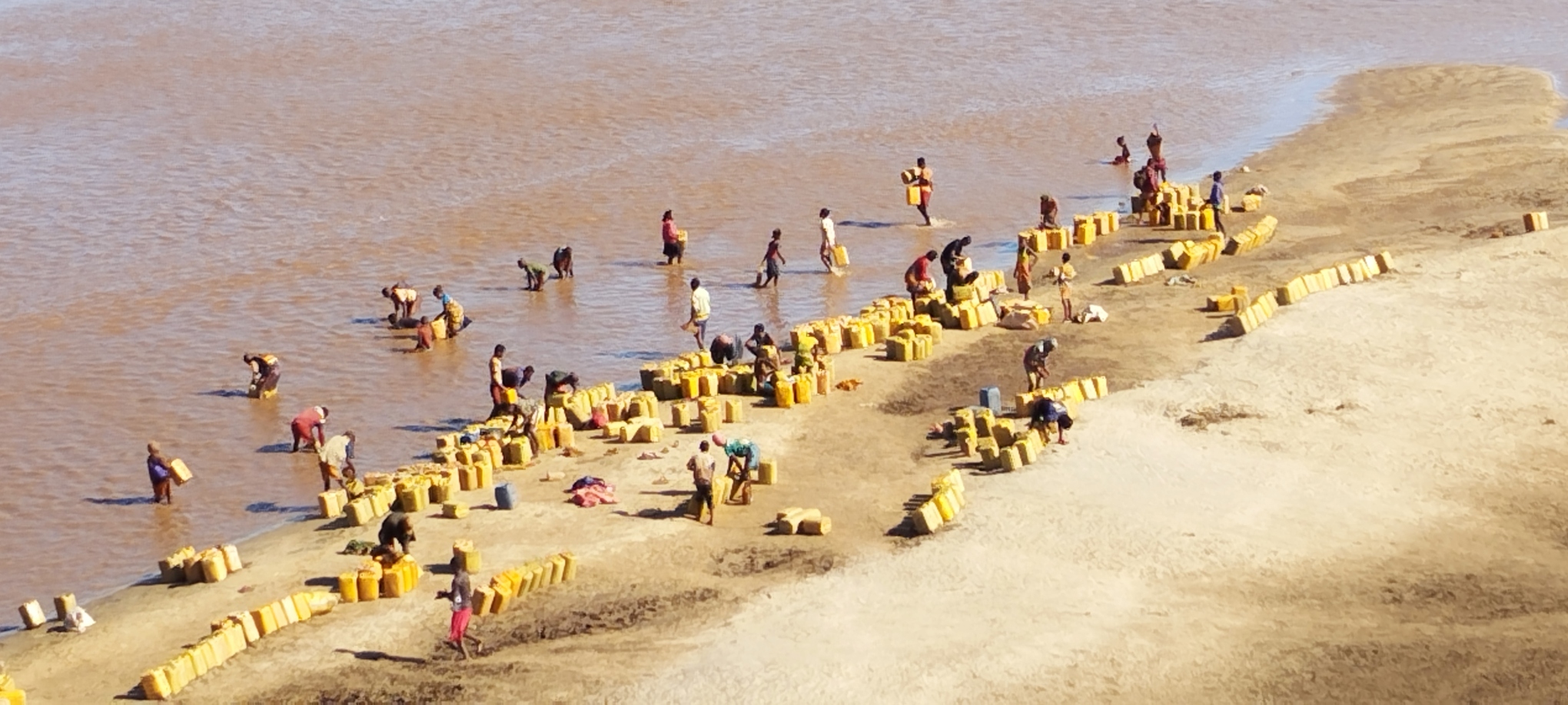 Effets des sécheresses associées au phénomène de tiomena dans l'Androy, au sud de Madagascar. Image de Rivonala Razafison prise en novembre 2023.