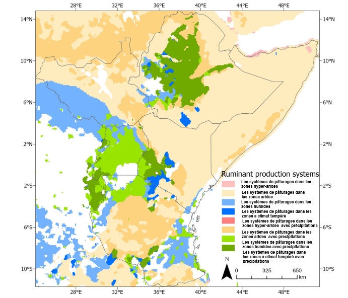 Des pâturages en Afrique de l'Est de plus en plus vulnérables aux effets de changement climatique.