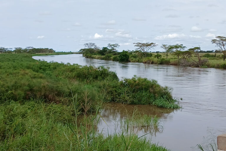 La rivière Lufira (amont) à Kyubo, en RDC. Image de Didier Makal pour Mongabay.