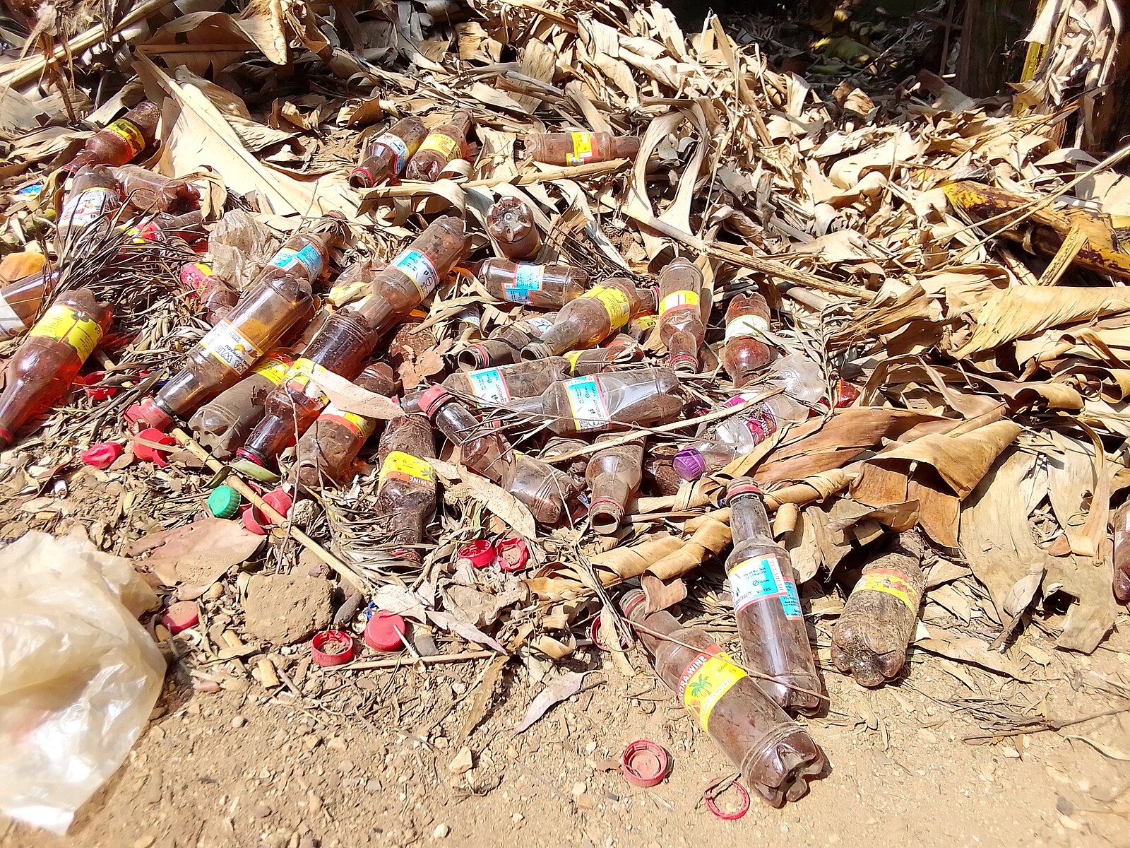 Les bouteilles en plastique peuvent causer la pollution de l'environnement. Image de NIHEREWENIMANA Richard via Wikimedia Commons (Domaine public).