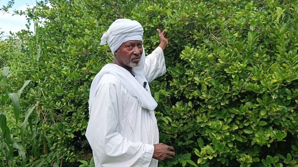 Zakaria, sexagénaire, explique avoir hérité de la technique de la haie vive de son père et de son grand-père. Image de Rimteta Ngarndinon pour Mongabay.