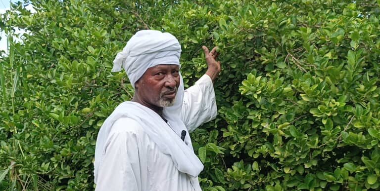 Zakaria, sexagénaire, explique avoir hérité de la technique de la haie vive de son père et de son grand-père. Image de Rimteta Ngarndinon pour Mongabay.