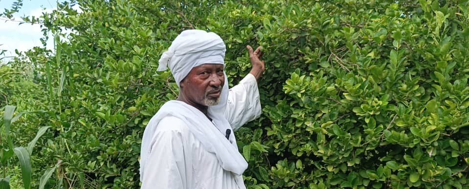 Zakaria, sexagénaire, explique avoir hérité de la technique de la haie vive de son père et de son grand-père. Image de Rimteta Ngarndinon pour Mongabay.