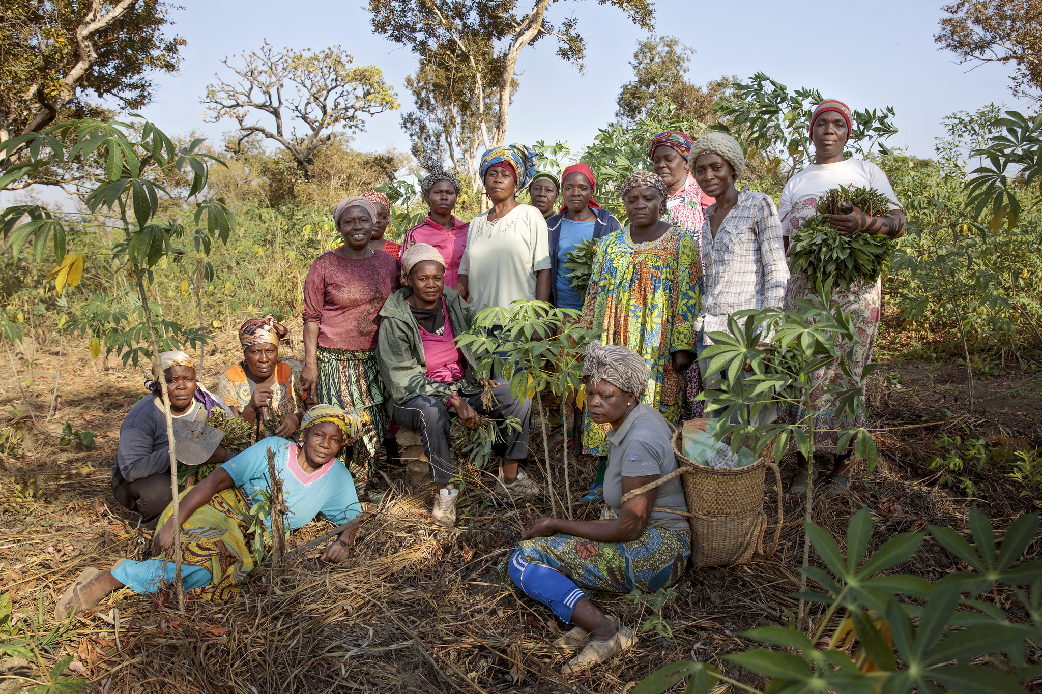 Une coopérative de femmes agricultrices dans le township de Yoko, au Cameroun. Image de UN Women via Flickr (CC BY-NC-ND 2.0).