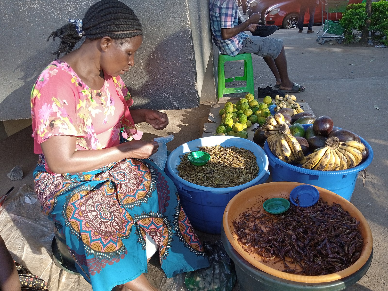 Une femme malawienne en train de vendre du Bwannoni et du Dzombe, des insectes comestibles de la famille des sauterelles, à Lilongwe, au Malawi. Image de Khumbo via Wikimédia Commons (CC BY-SA 4.0).