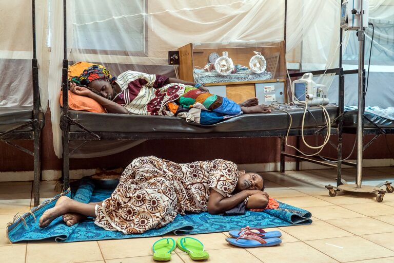 Les risques sanitaires liés au changement climatique s’accroissent en Afrique. Image de via Ewien van Bergeijk - Kwant Wikimédia Commons (CC BY-SA 4.0).