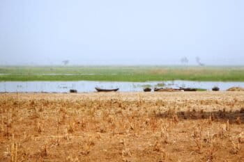 : Le fleuve Niger, frontière naturelle entre le Bénin et le Niger, déborde et détruit les cultures de la région de l’Alibori. Image de Nicolas Le Guen via Flickr (CC BY-NC-ND 2.0).