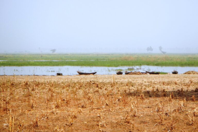 : Le fleuve Niger, frontière naturelle entre le Bénin et le Niger, déborde et détruit les cultures de la région de l’Alibori. Image de Nicolas Le Guen via Flickr (CC BY-NC-ND 2.0).