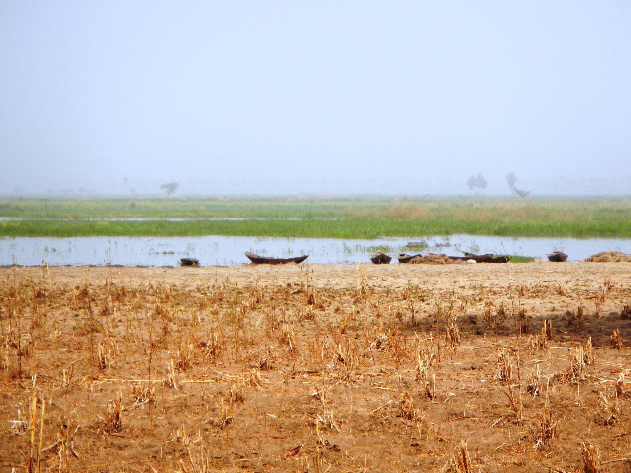 : Le fleuve Niger, frontière naturelle entre le Bénin et le Niger, déborde et détruit les cultures de la région de l’Alibori. Image de Nicolas Le Guen via Flickr (CC BY-NC-ND 2.0).