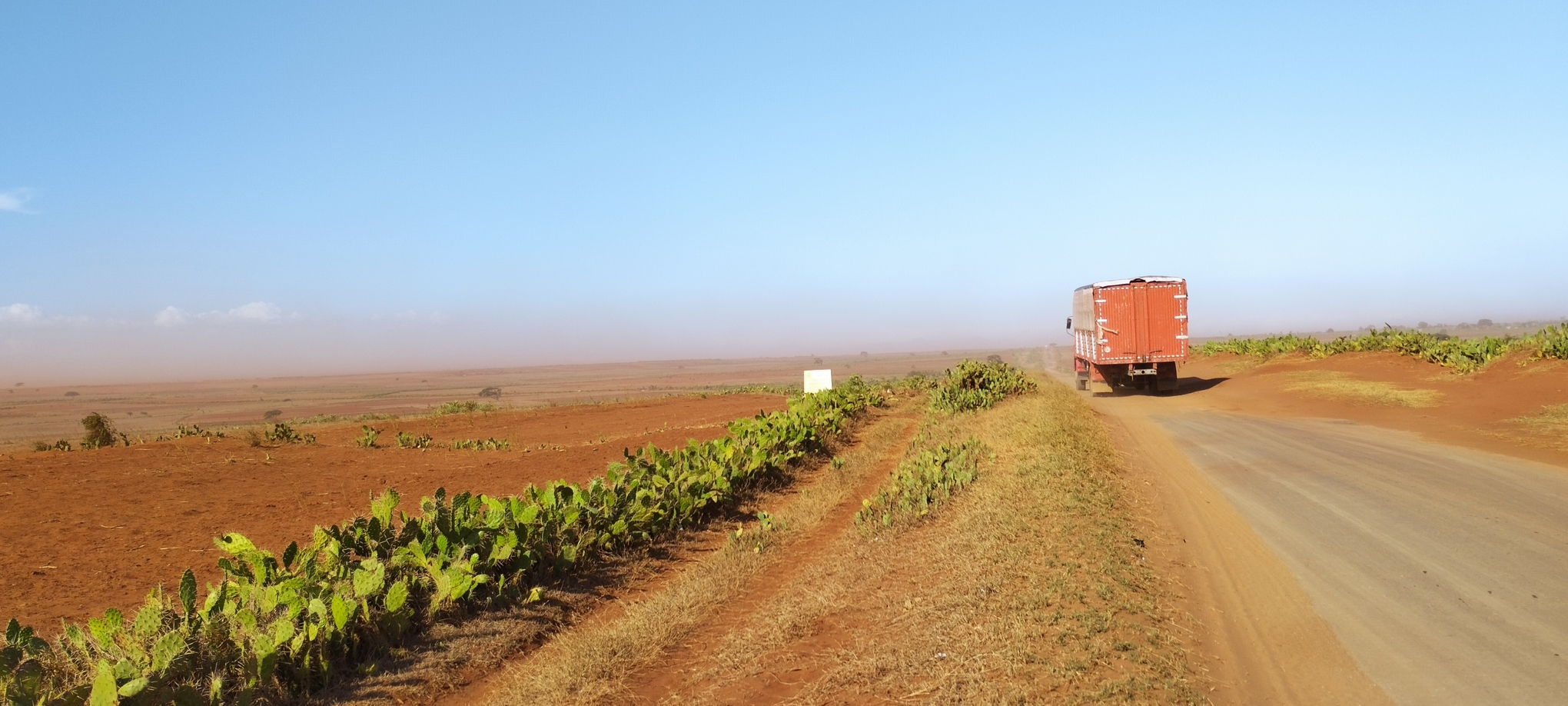 État du déclin environnemental dans le district d'Ambobombe Androy, dans le Sud malgache, dont le Chef de l'État, le colonel Michaël Randrianirina, est originaire. Image de Rivonala Razafison prise le 13 novembre 2022.
