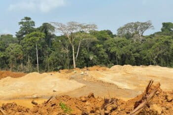Les arbres et les cours d’eau ont disparu, remplacés par des flaques boueuses, comme celle qu’on aperçoit derrière lui. Image d’Elodie Toto pour Mongabay.