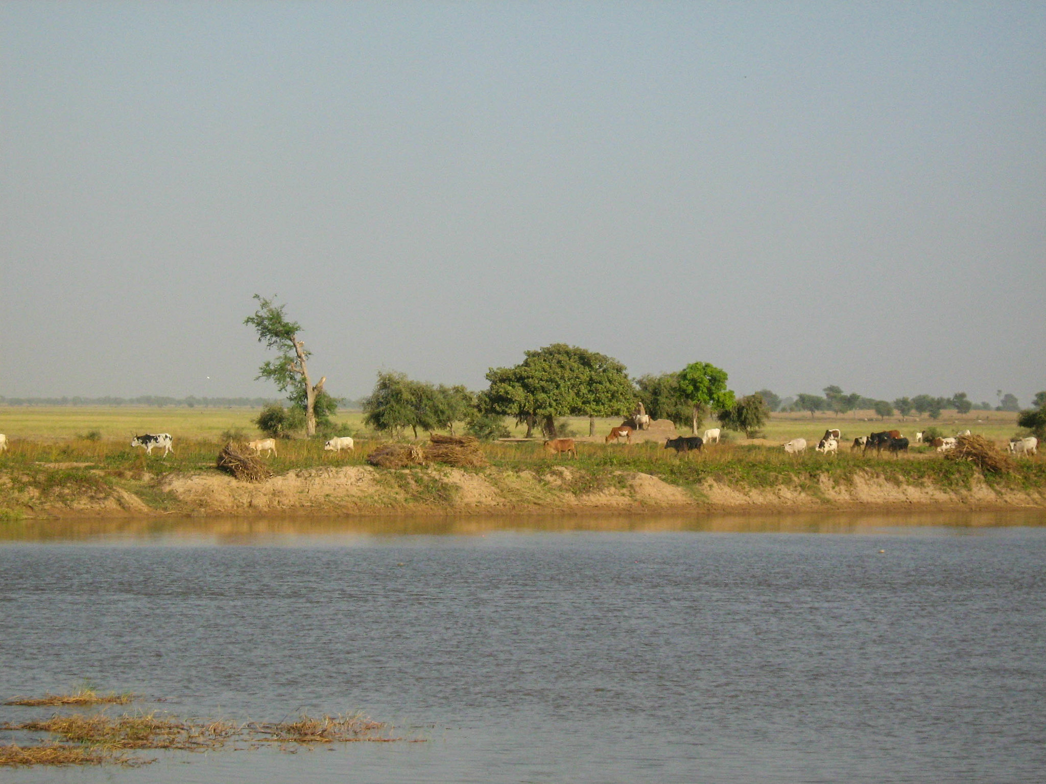 Le fleuve Niger, une importante ressource en eau partagée entre plusieurs pays en Afrique de l’ouest, sous influence des effets du changement climatique. Image de mauro gambini via Flickr (CC BY-NC-ND 2.0).