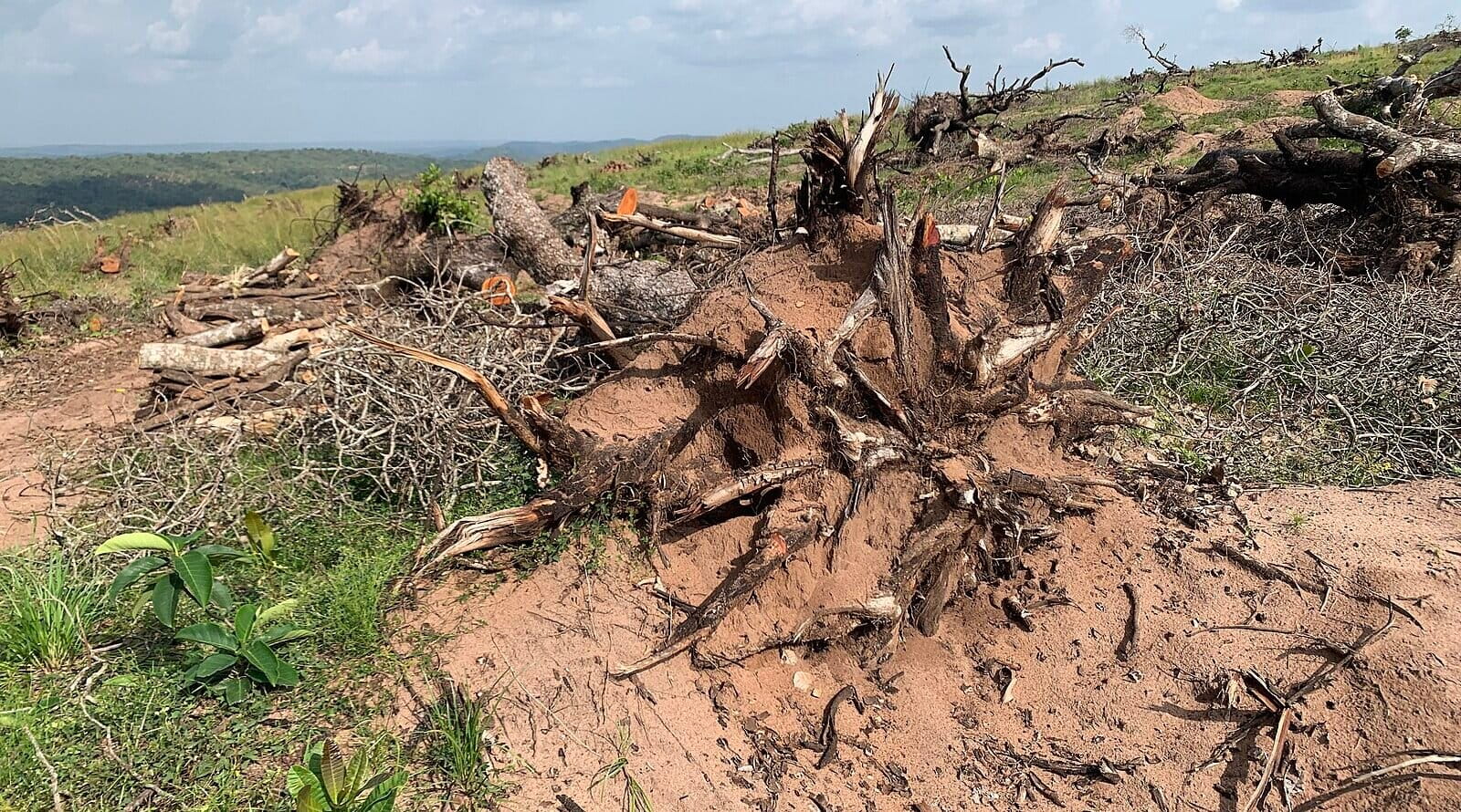 Déforestation au Nigéria. Image de Geospatial John via Wikimédia Commons (CC BY-SA 4.0).