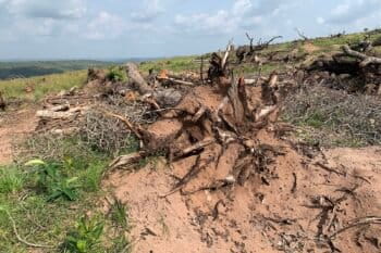 Déforestation au Nigéria. Image de Geospatial John via Wikimédia Commons (CC BY-SA 4.0).