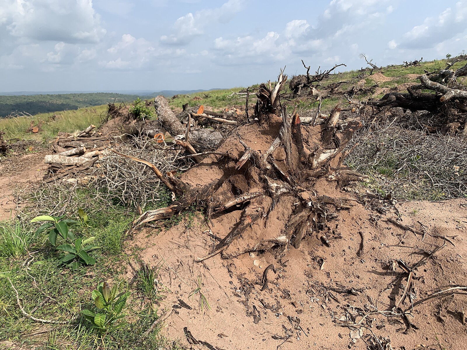 Déforestation au Nigéria. Image de Geospatial John via Wikimédia Commons (CC BY-SA 4.0).