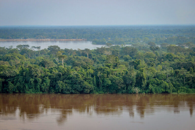 Les rives du fleuve Congo. Image de Ahtziri Gonzalez/CIFOR via Flickr (CC BY-NC-ND 2.0).