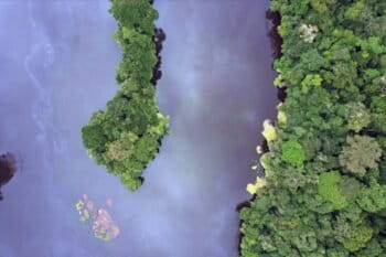 Ivindo river, Gabon. Image by Rhett Butler / Mongabay.