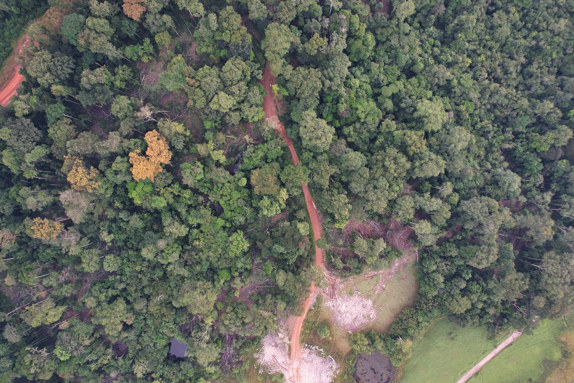 Déforestation au Gabon. Image par Rhett Butler.