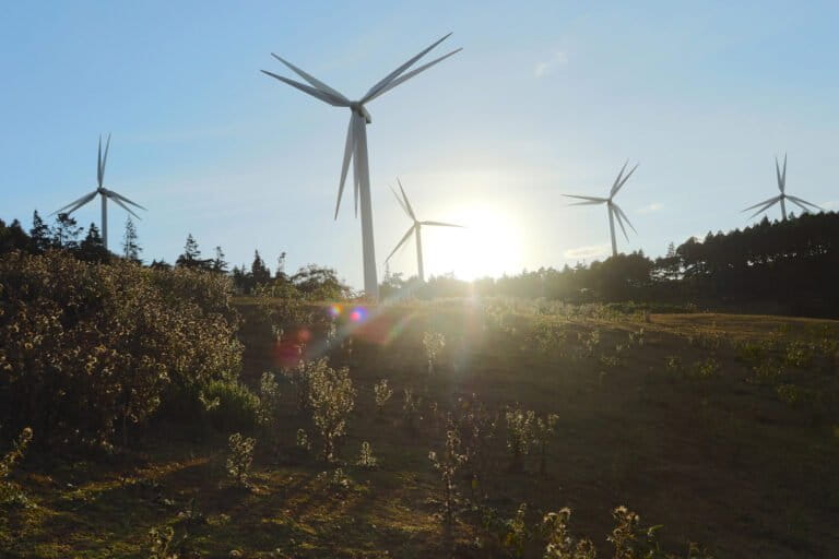 Éoliennes dans les collines de Ngong, au Kenya. L’énergie éolienne représente aussi une part importante des réalisations dans le domaine des énergies renouvelables en Afrique. Image de Fredrick Leica via Wikimédia Commons (CC BY-SA 4.0).