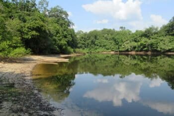 Le site écotouristique de Tsam Tsam est situé près du lac Oguemoué, dans la chaîne de lacs au sud du fleuve Ogooué, au Gabon, en Afrique centrale.
