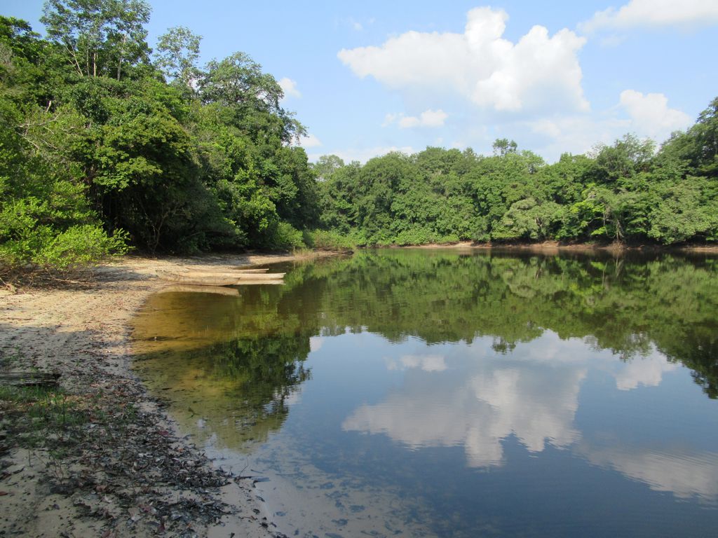 Le site écotouristique de Tsam Tsam est situé près du lac Oguemoué, dans la chaîne de lacs au sud du fleuve Ogooué, au Gabon, en Afrique centrale.