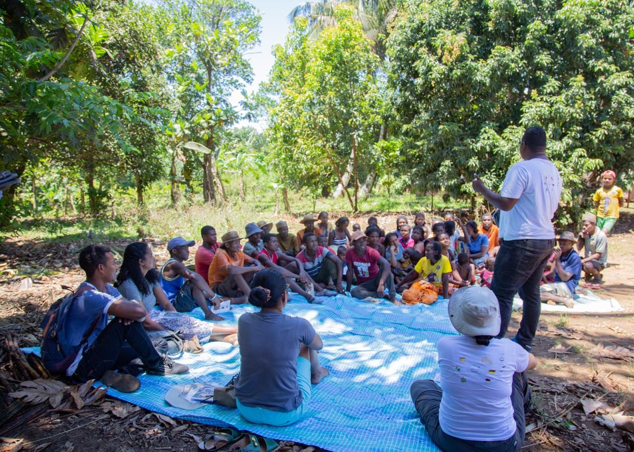 Des interventions sur le terrain autour de l'élevage de BSF pratiqué dans le Sud-Est de Madagascar. Image de Mahefa Natt (HIH FAMI) fournie par Rivonala Razafison.