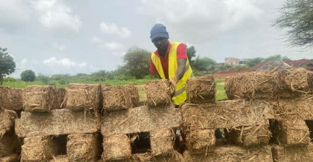 Malick Diop, ouvrier chez Elementerre, empile des briques en typha fraîchement fabriquées au soleil, pour les laisser sécher et gagner en solidité. Image de Ndiémé Faye pour Mongabay.