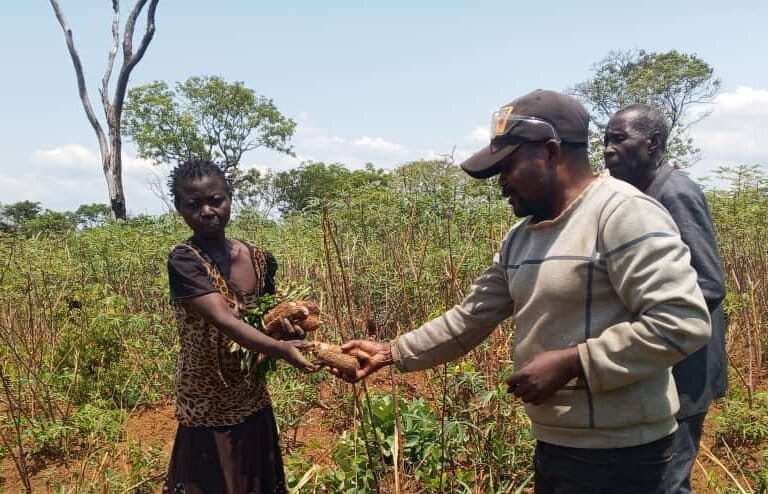 Deux agriculteurs glanent dans leur champ pour offrir du manioc au biker au village Wata Malonda. Image de Willy Mbuyu pour Mongabay.