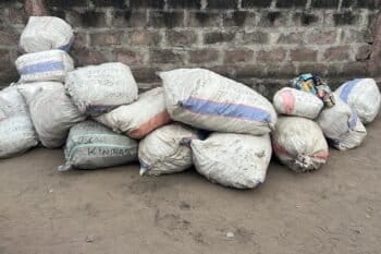 Des sacs d’écailles de pangolins saisies à Kinshasa en RDC lors d'une opération conduite par l'Institut Congolais pour la Conservation de la Nature (ICCN) et l'ONG Conserv Congo. Image fournie par Adams Cassinga, CEO de Conserv Congo avec son aimable autorisation.