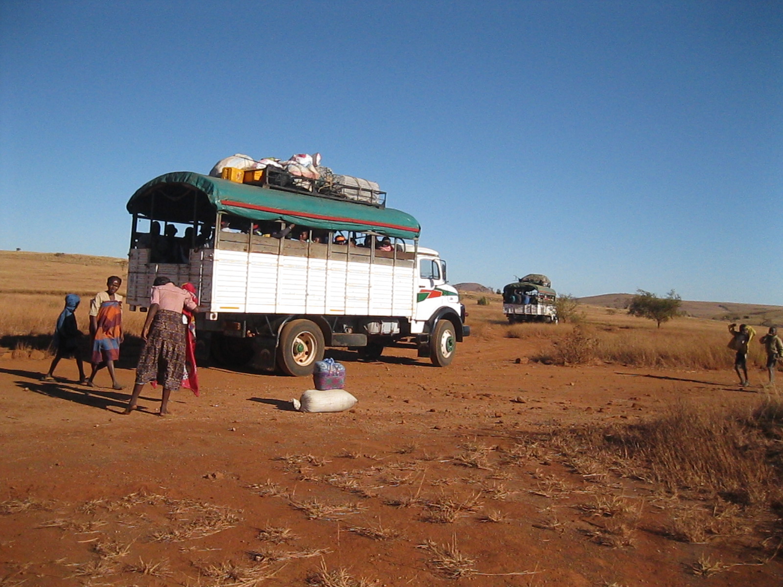 Les moyens de transport servant à transporter les populations dans l'Androy vers d’autres régions prospères. Image de Rivonala Razafison en date de juin 2016.
