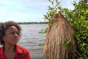 Vodun et mangroves Bénin