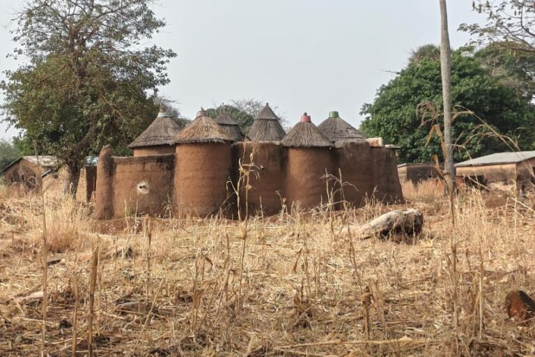 Au nord-ouest du Bénin, sur le site du Koutammakou inscrit au patrimoine mondial de l’Unesco, la takienta ou « tata somba » est victimes des effets du changement climatique. Image de Fulbert Adjimehossou pour Mongabay.