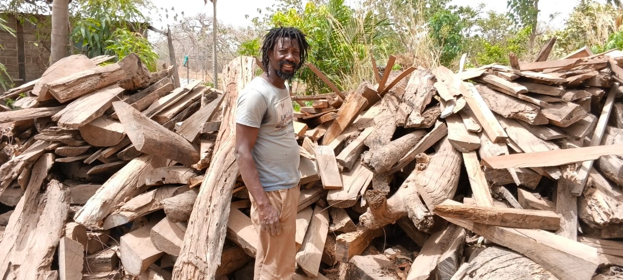 Des troncs de bois mort récupérés en brousse sont stockés dans la cour de l’atelier avant transformation. Image de Hadepté Da pour Mongabay.