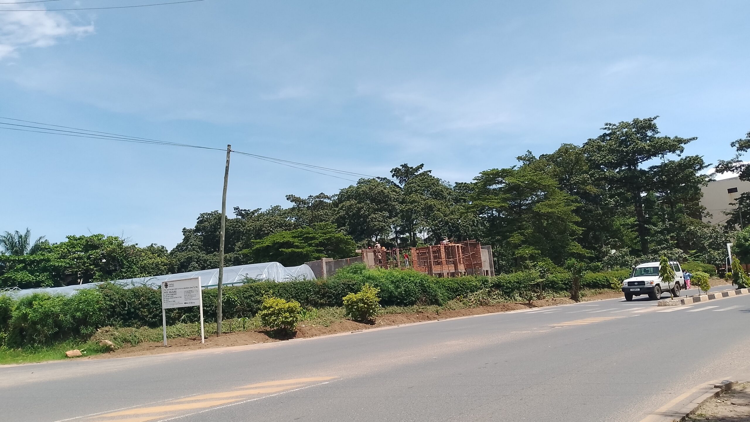 Le milieu naturel abritant les bureaux de liaison du ministère de l’Environnement, de l’agriculture et de l'élevage, avec des nouveaux chantiers en cours de construction. Ce milieu qui constitue également l’habitat naturel urbain des singes vervets depuis plusieurs décennies. Image de Dieudonné Ndayizeye pour Mongabay.