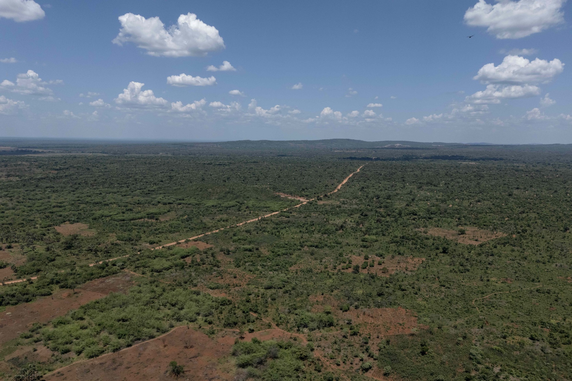 À cheval sur les provinces du Lualaba et du Haut-Katanga, cette ceinture cuivre-cobalt constitue une zone stratégique où la Chine, les États-Unis, la société publique congolaise Gécamines et d’autres acteurs internationaux se disputent les minerais sur des terres également utilisées par les communautés locales et les forêts de miombo. Image de Glody MURHABAZI / AFP.