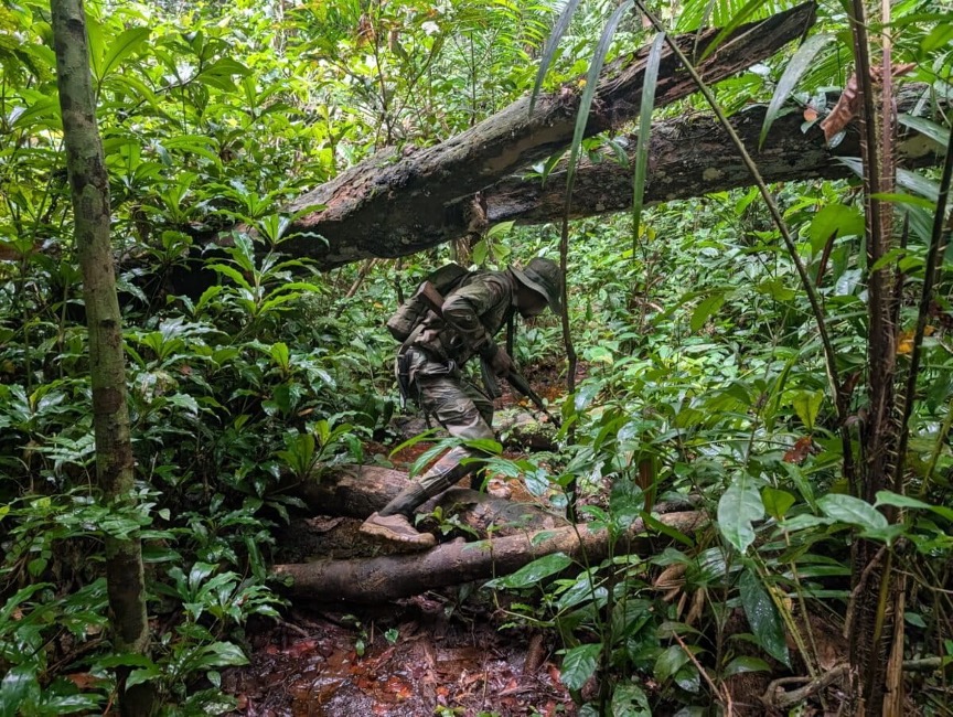 Garde‑forestier en patrouille dans le Parc national de la Salonga, en RDC. Image de Rhett Ayers Butler.
