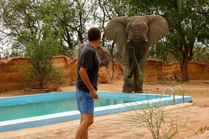  Image fournie par Luis Arranz.