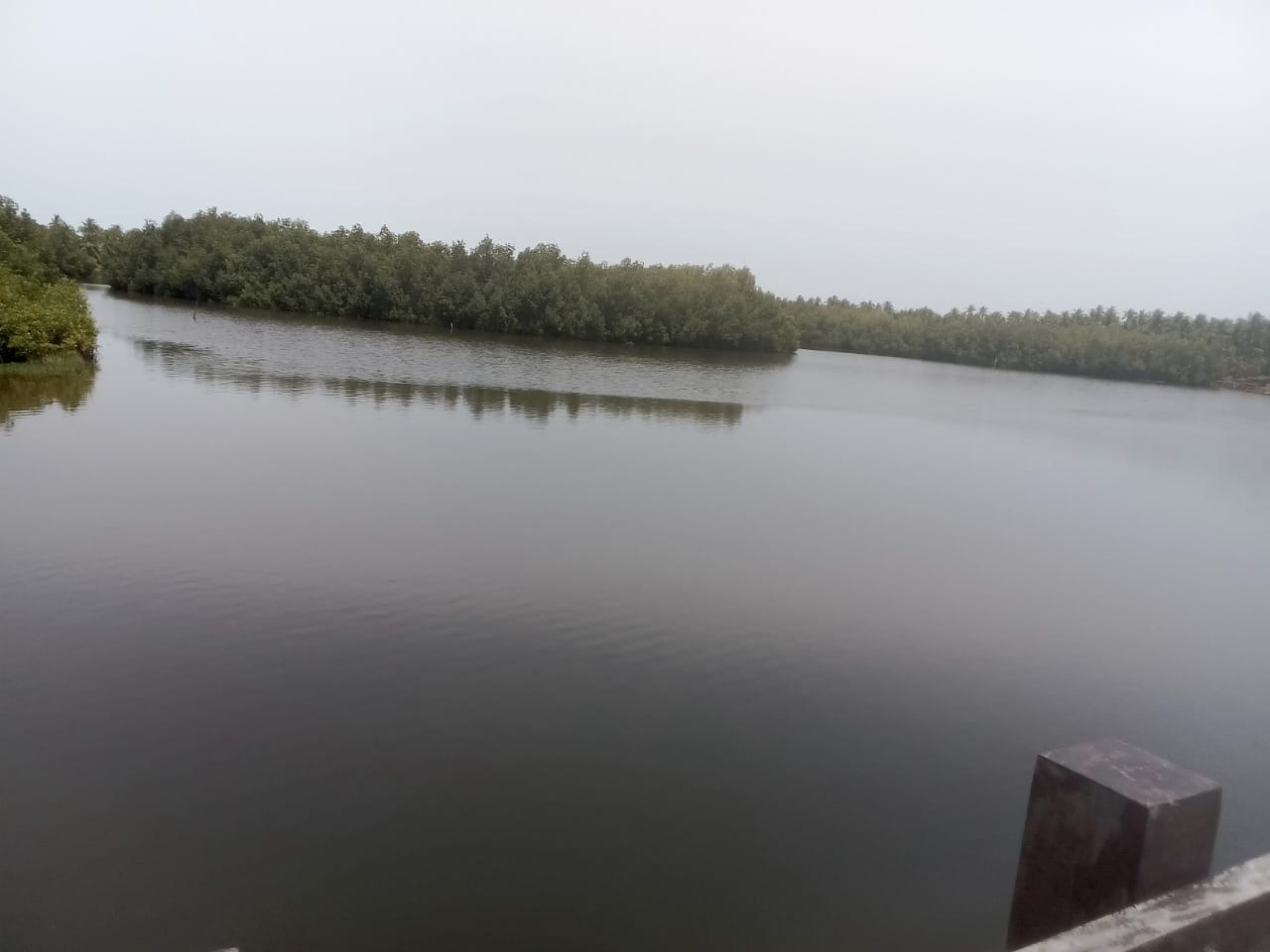 Le lac Ahémé et sa ceinture de mangroves à la hauteur de Mèko, commune de Ouidah dans les secteurs dragués. Image de Fulbert Adjimehossou pour Mongabay.