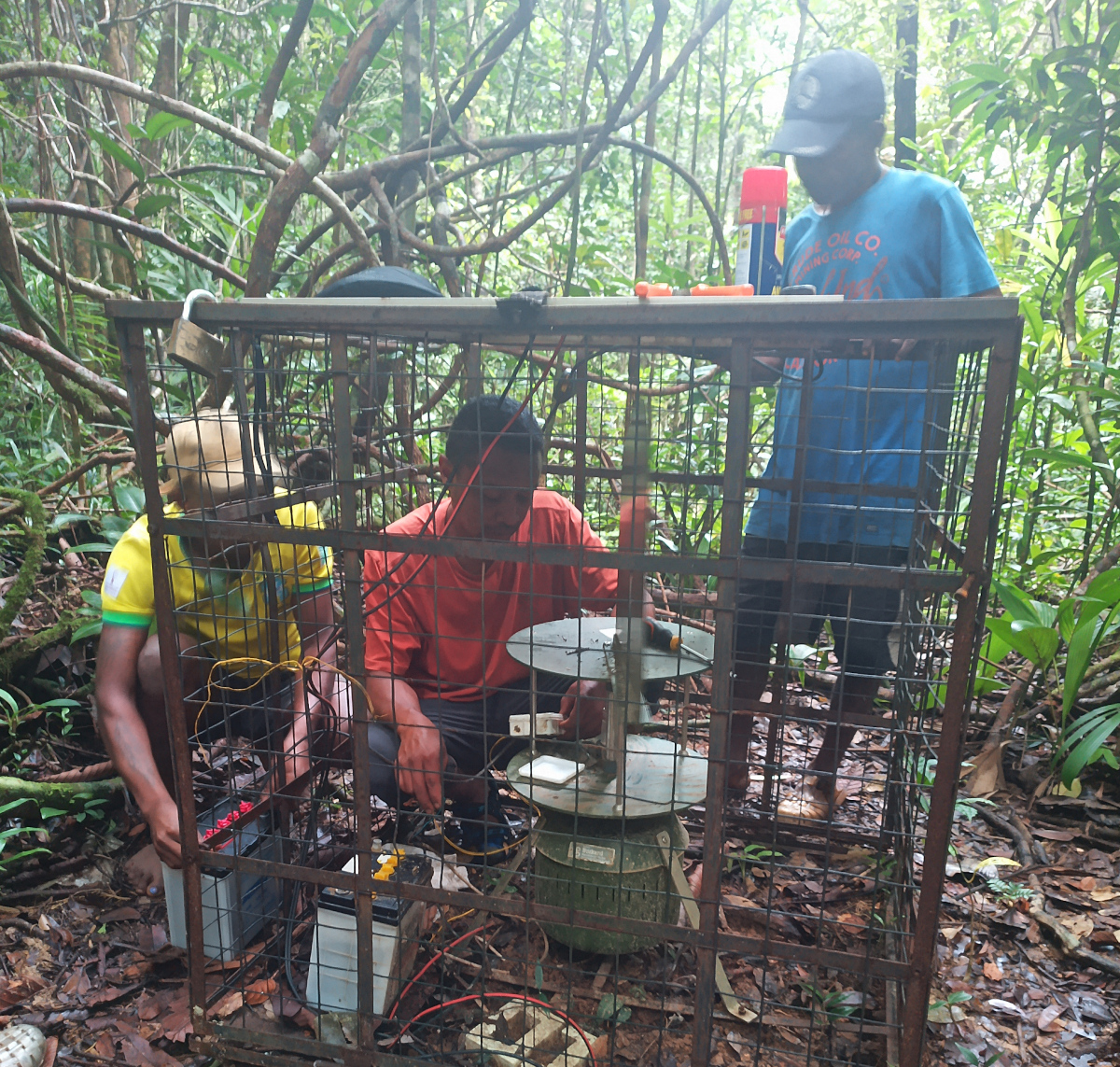 Dimby Raharinjanahary (en orange) et son équipe de terrain installent un dispositif cyclonique alimenté par des batteries de voiture, afin de capturer les spores fongiques. Image de Dimby Raharinjanahary.