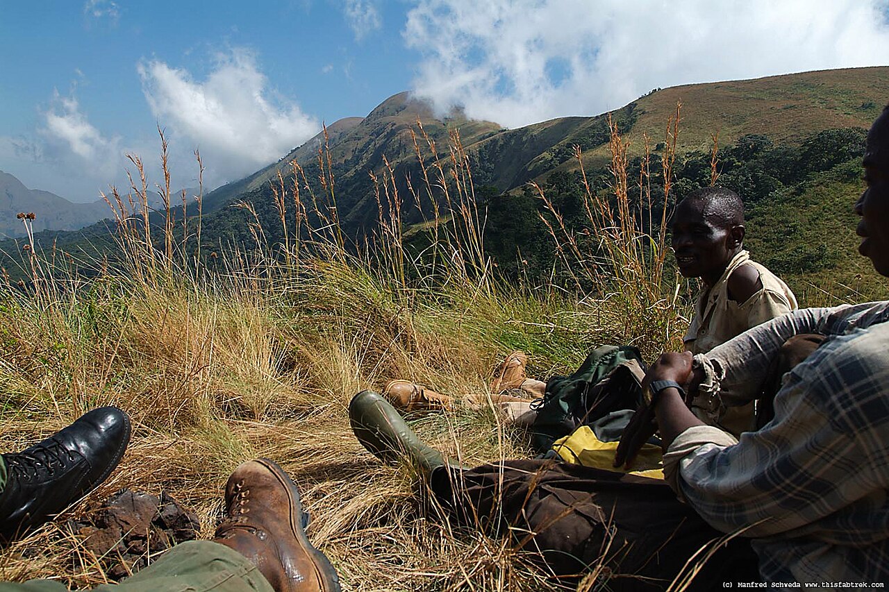 Savane d’altitude au sein de la réserve forestière du mont Nimba, en 2006. Image de Manfred Schweda via Wikimedia commons (CC BY-SA 4.0).