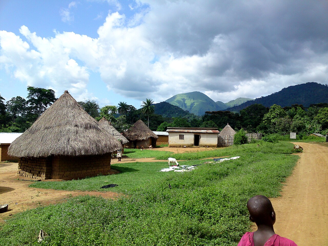 Village près du mont Nimba, en 2013. Image de Maarten van der Bent via Wikimedia commons (CC BY-SA 2.0).