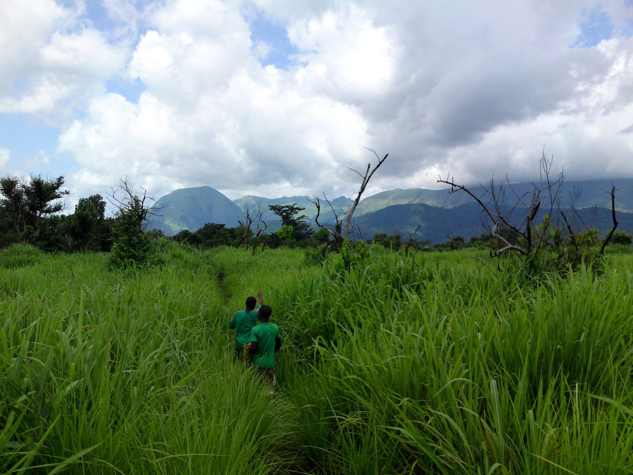 Près du mont Nimba, en 2013. Image de Maarten van der Bent via Wikimedia commons (CC BY-SA 2.0).