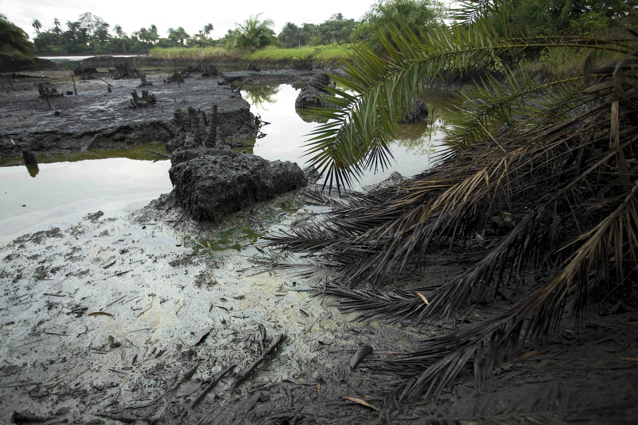 Marée noire dans la communauté de Goi au Nigeria. Image de Luka Tomac/Amis de la Terre International via Flickr (CC BY-SA 2.0).
